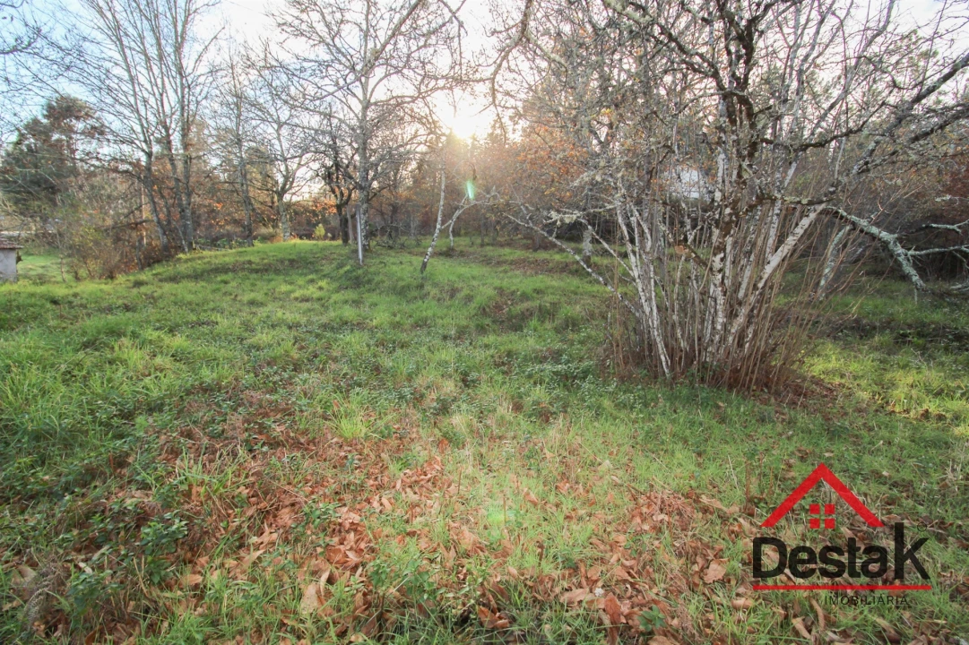 Terreno para Venda em Figueiredo de Alva Foto 11
