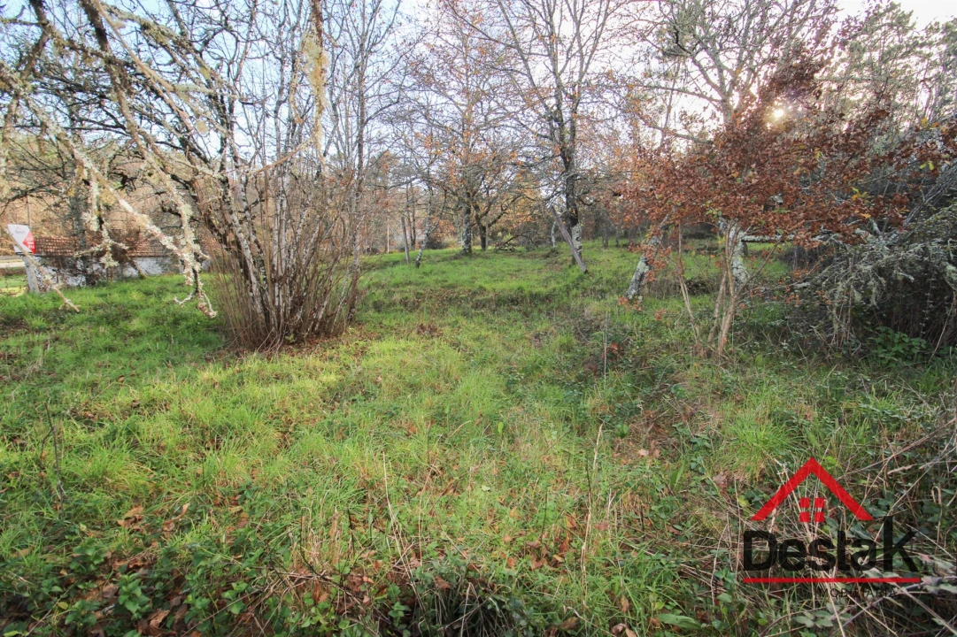 Terreno para Venda em Figueiredo de Alva Foto 9