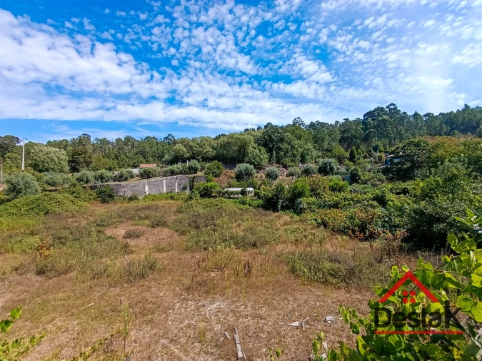 Terreno Misto para Venda em São Miguel do Mato Foto 7