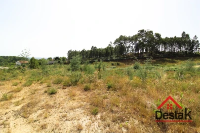 Terreno para Venda em Mundão