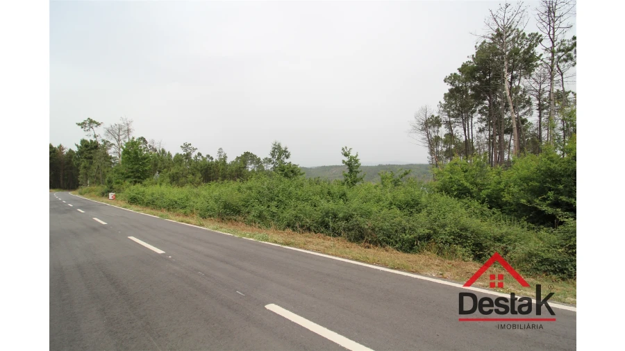 Terreno para Venda em Calde Foto 4