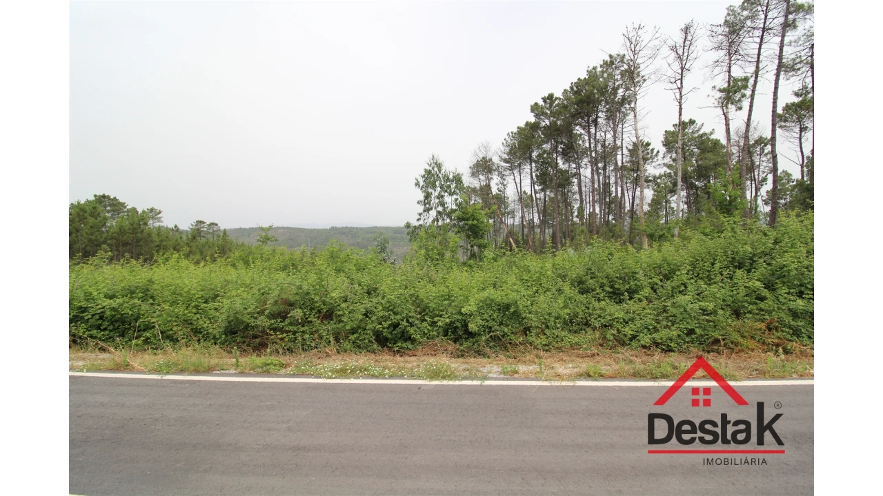 Terreno para Venda em Calde Foto 6