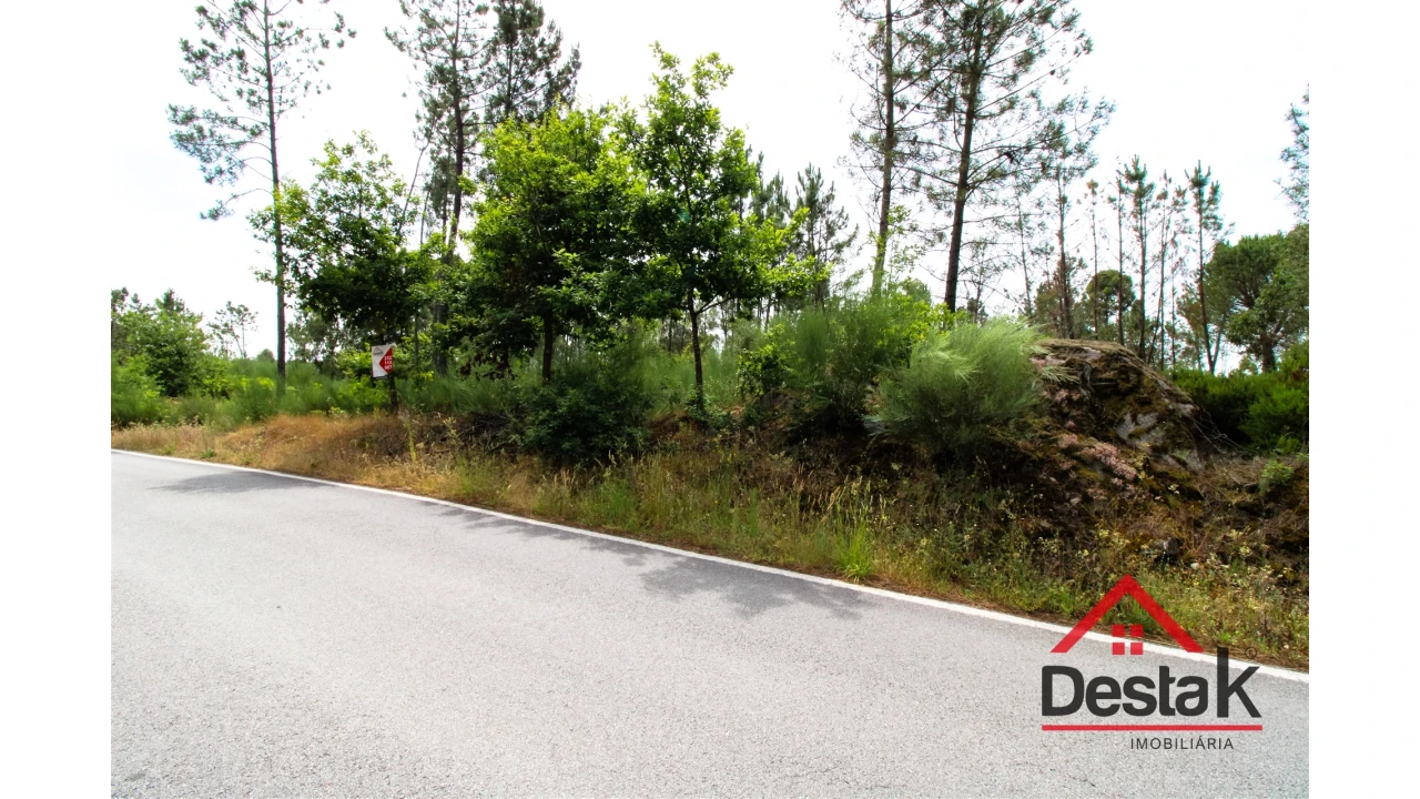 Terreno Agricola ou Rústico para Venda em Couto de Baixo e Couto de Cima Foto 5