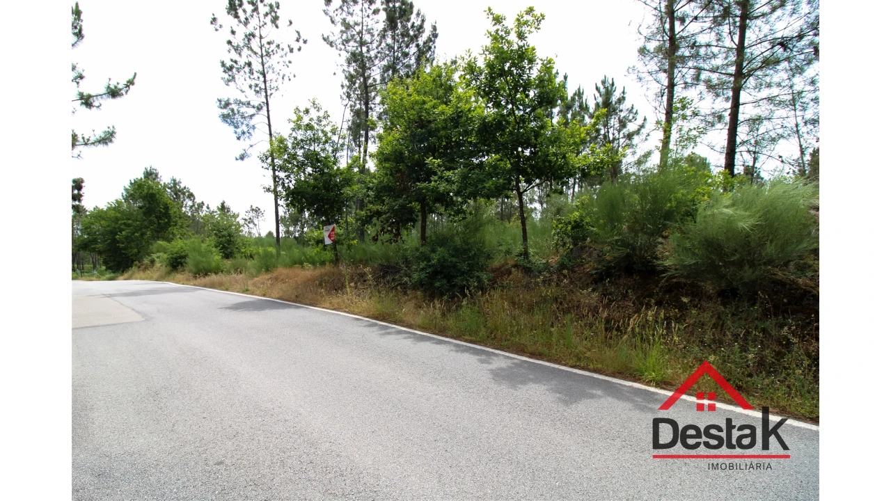 Terreno Agricola ou Rústico para Venda em Couto de Baixo e Couto de Cima Foto 4