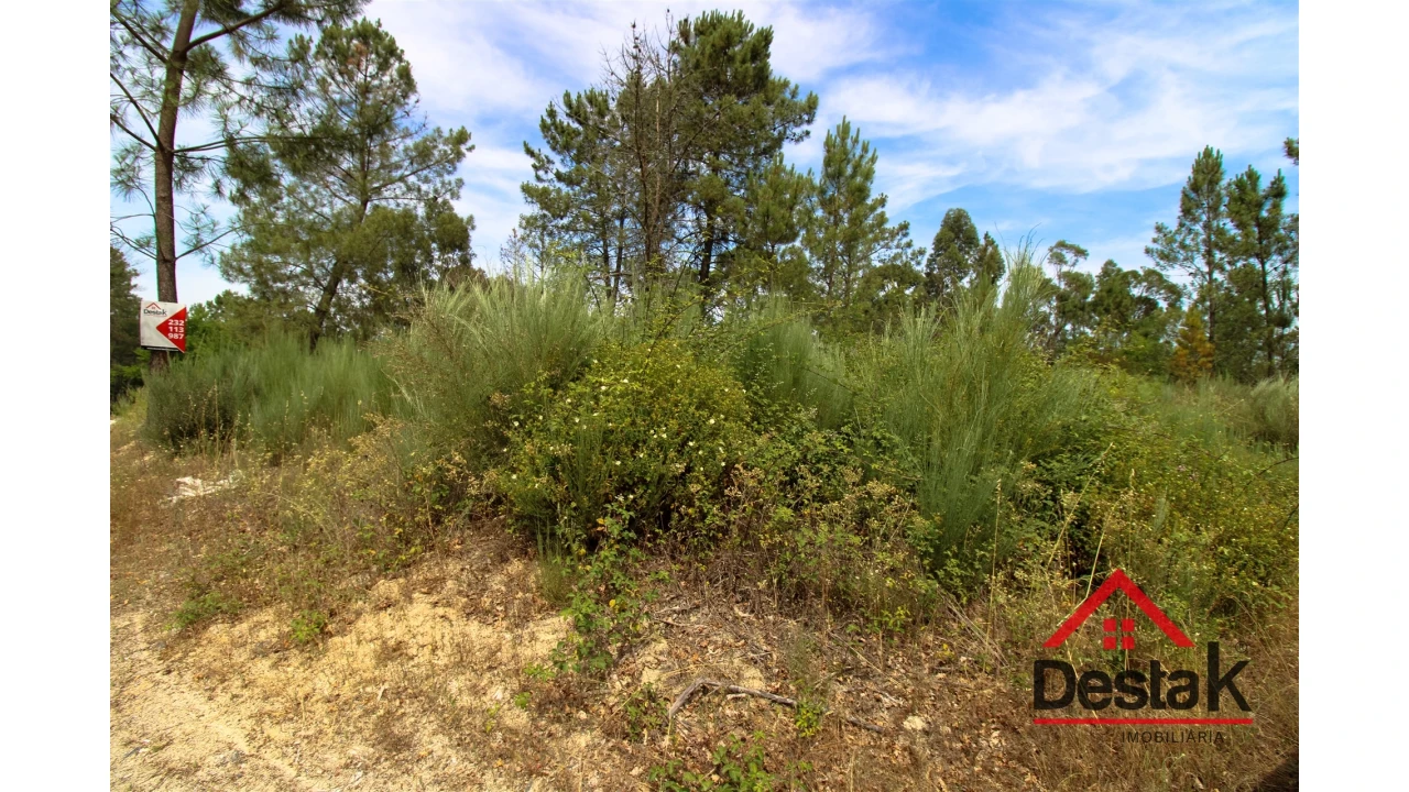 Terreno Agricola ou Rústico para Venda em Couto de Baixo e Couto de Cima Foto 7