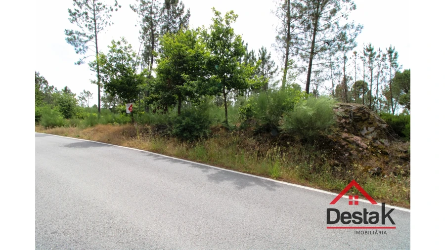 Terreno Agricola ou Rústico para Venda em Couto de Baixo e Couto de Cima Foto 6