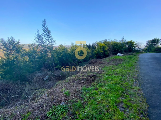 Terreno Agricola ou Rústico para Venda em Sobrado e Bairros Foto 4