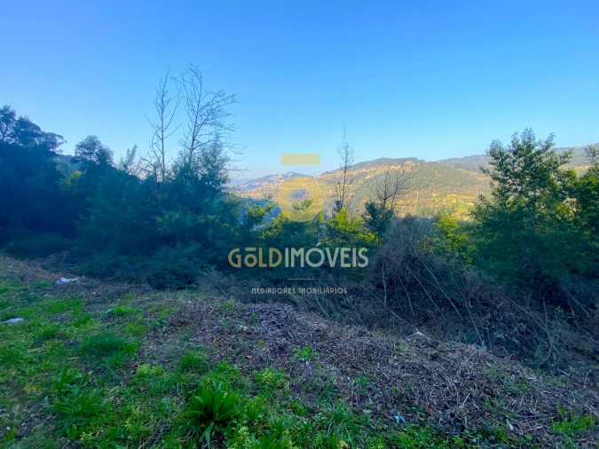 Terreno Agricola ou Rústico para Venda em Sobrado e Bairros Foto 5