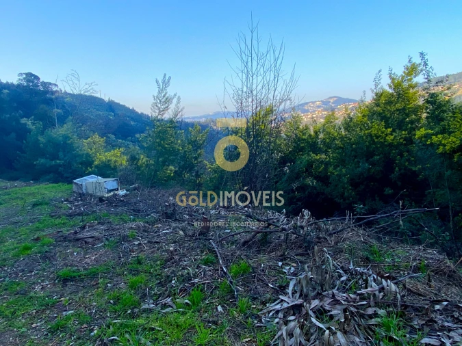 Terreno Agricola ou Rústico para Venda em Sobrado e Bairros Foto 3