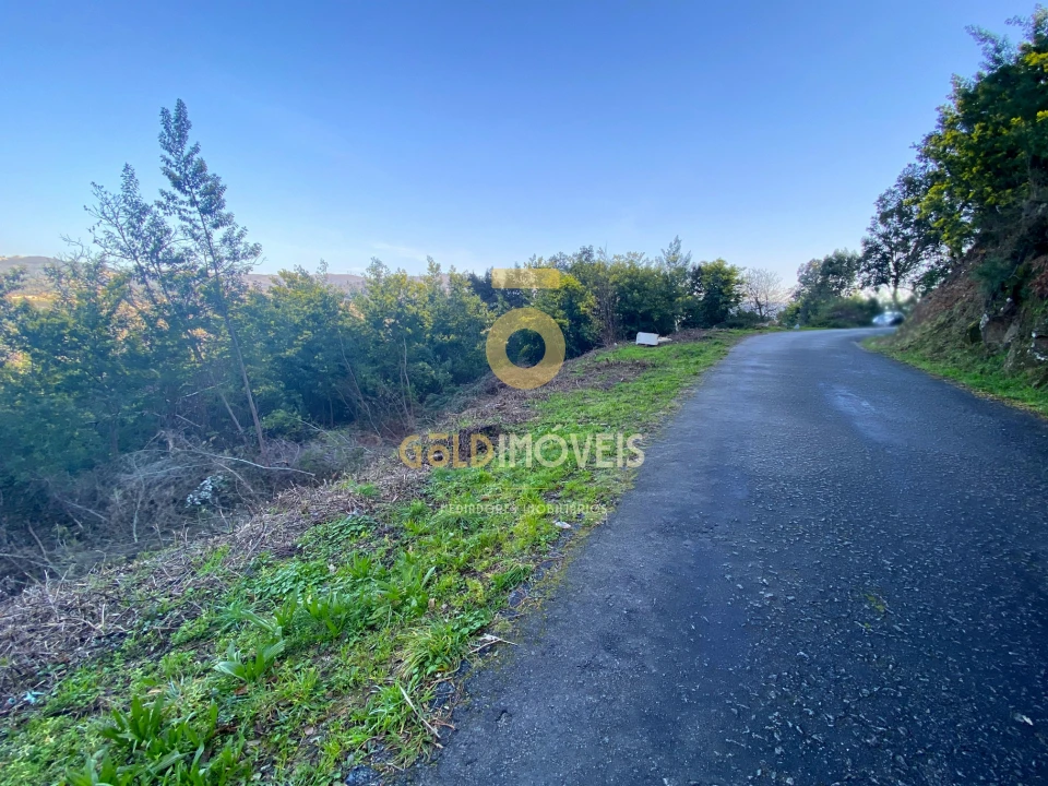 Terreno Agricola ou Rústico para Venda em Sobrado e Bairros Foto 6