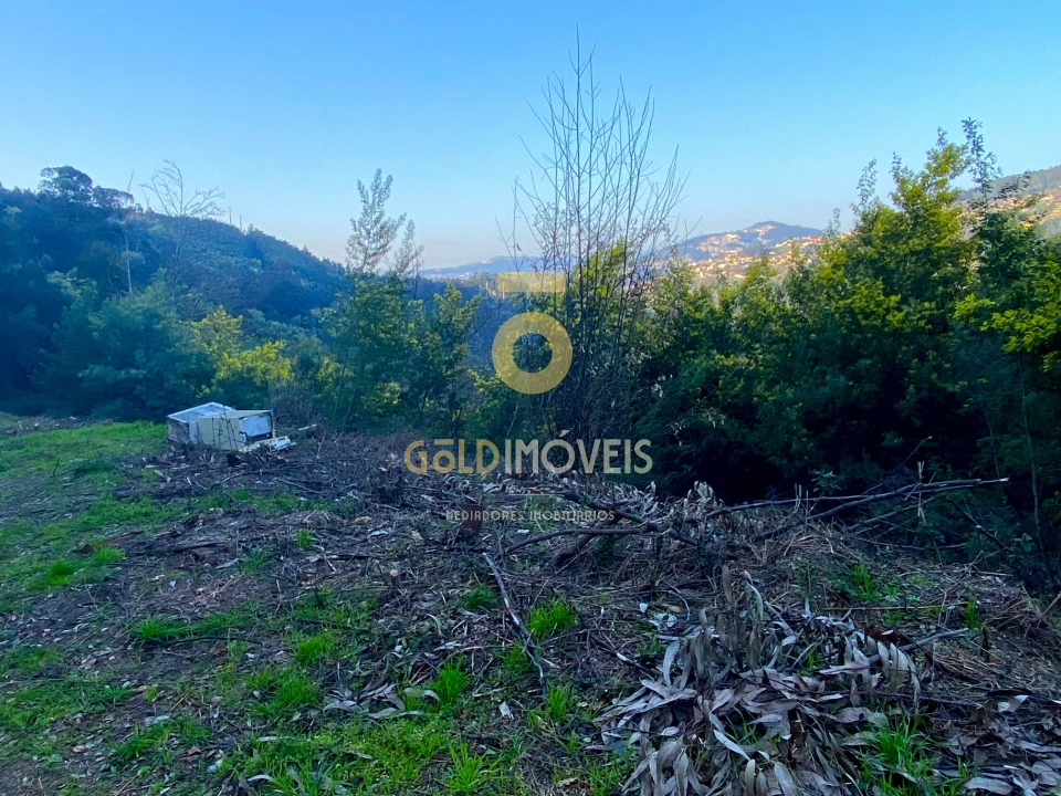 Terreno Agricola ou Rústico para Venda em Sobrado e Bairros Foto 3