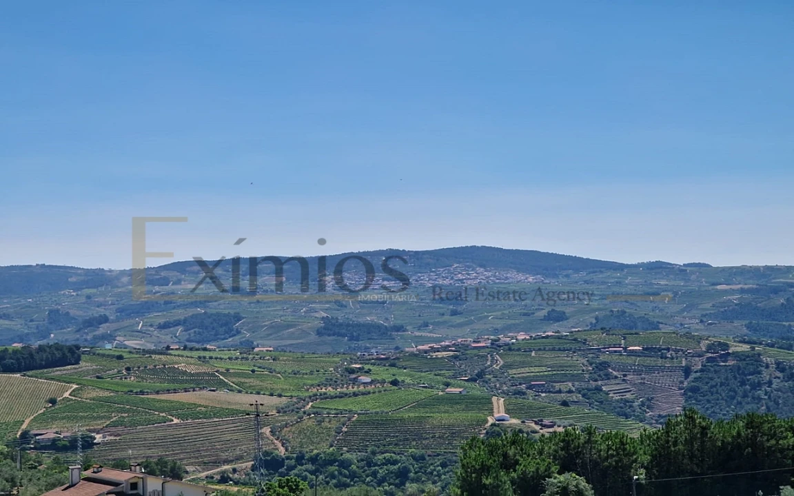 Moradia T3 para Venda em São Lourenço de Ribapinhão Foto 18