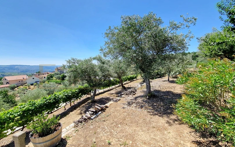 Moradia T3 para Venda em São Lourenço de Ribapinhão Foto 20