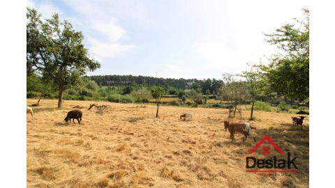 Terreno para Venda em Campo