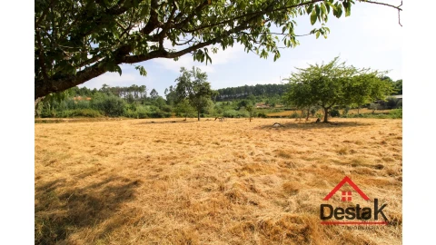 Terreno para Venda em Campo