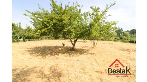 Terreno para Venda em Campo