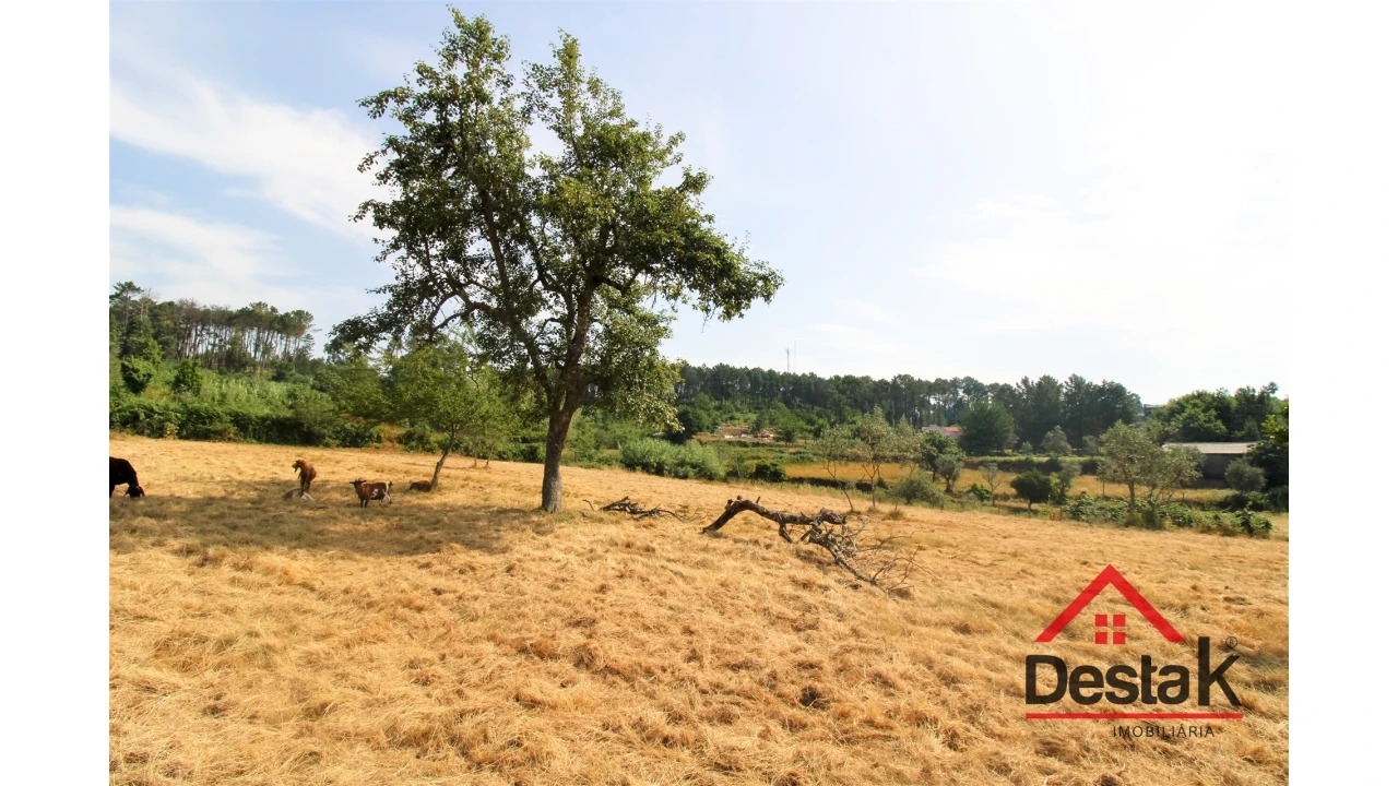 Terreno para Venda em Campo Foto 7