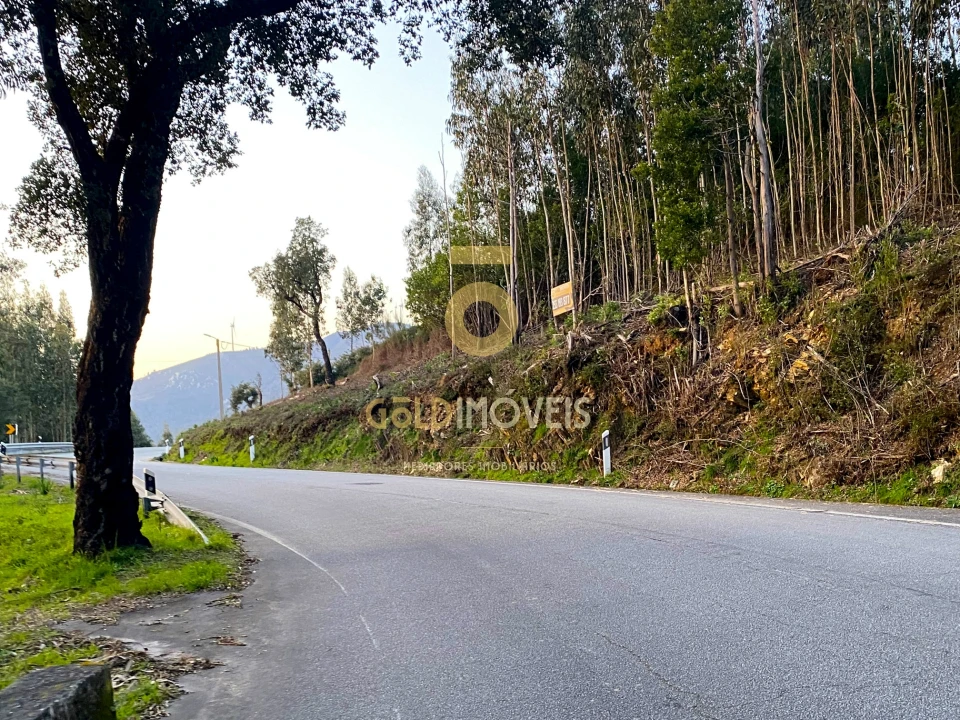 Terreno Agricola ou Rústico para Venda em Raiva, Pedorido e Paraíso Foto 9