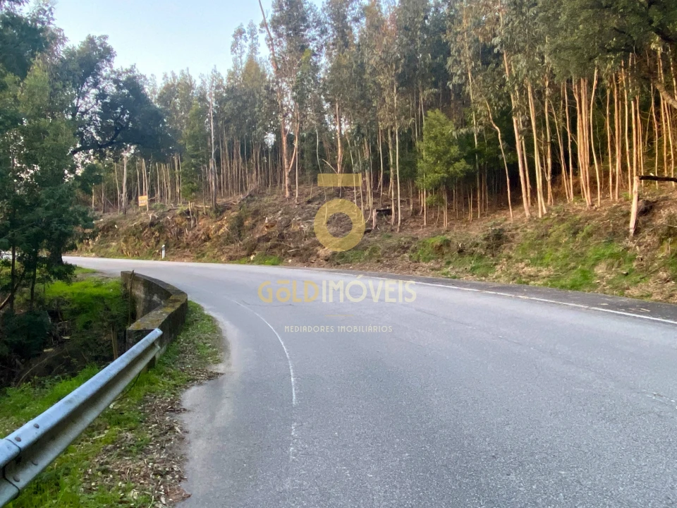 Terreno Agricola ou Rústico para Venda em Raiva, Pedorido e Paraíso Foto 8