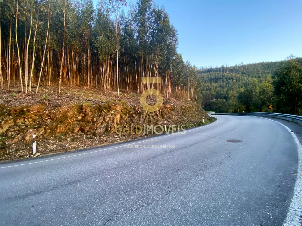 Terreno Agricola ou Rústico para Venda em Raiva, Pedorido e Paraíso Foto 2