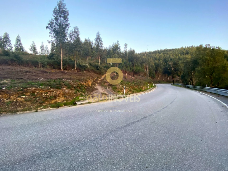 Terreno Agricola ou Rústico para Venda em Raiva, Pedorido e Paraíso Foto 1