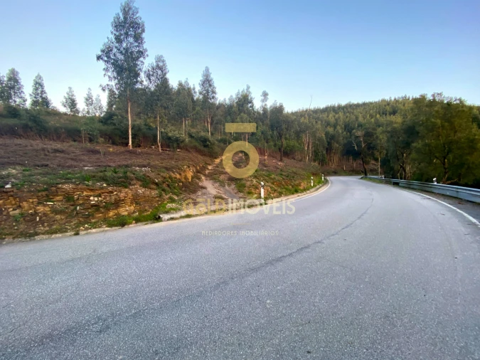 Terreno Agricola ou Rústico para Venda em Raiva, Pedorido e Paraíso