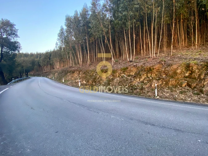 Terreno Agricola ou Rústico para Venda em Raiva, Pedorido e Paraíso Foto 3