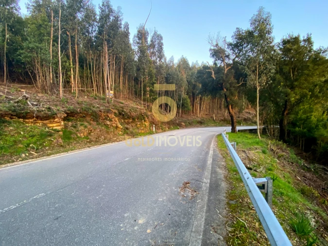 Terreno Agricola ou Rústico para Venda em Raiva, Pedorido e Paraíso Foto 10