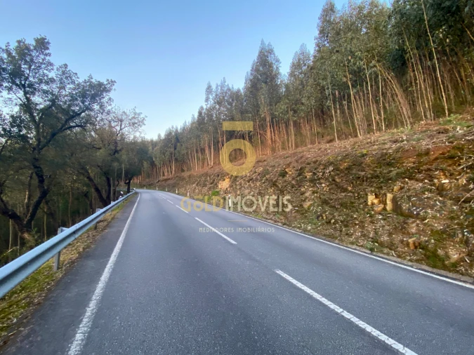 Terreno Agricola ou Rústico para Venda em Raiva, Pedorido e Paraíso Foto 6