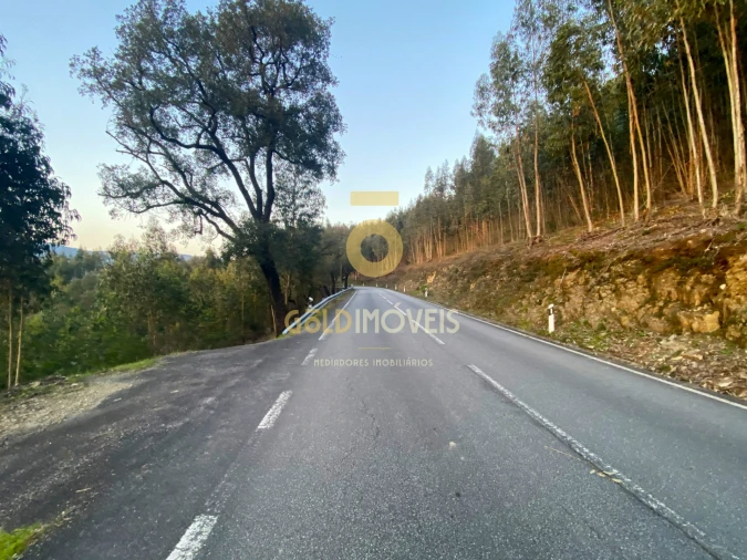 Terreno Agricola ou Rústico para Venda em Raiva, Pedorido e Paraíso Foto 5