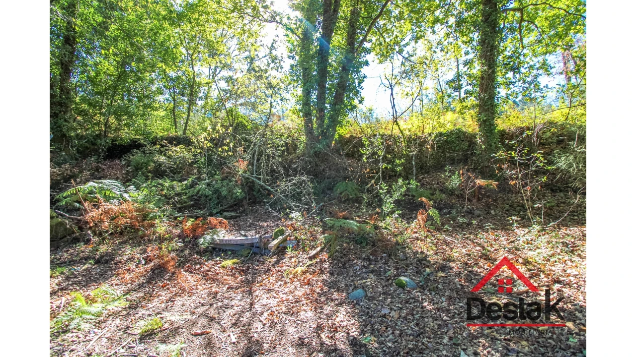 Terreno Agricola ou Rústico para Venda em Fataunços e Figueiredo das Donas Foto 8