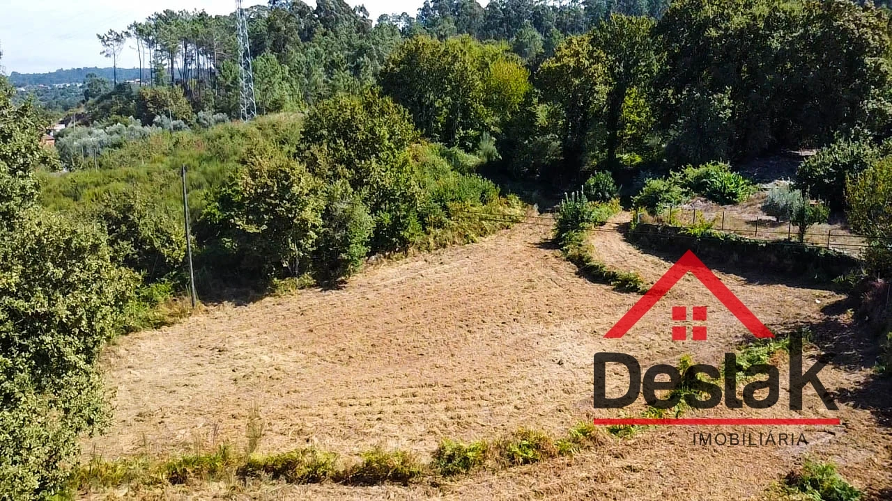 Terreno Agricola ou Rústico para Venda em Fataunços e Figueiredo das Donas Foto 17