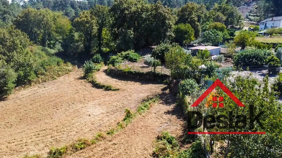 Terreno Agricola ou Rústico para Venda em Fataunços e Figueiredo das Donas Foto 16