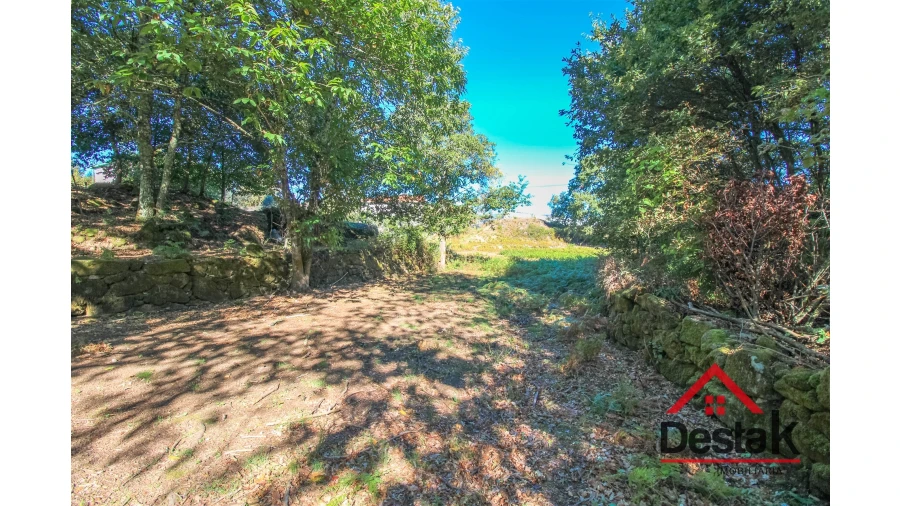 Terreno Agricola ou Rústico para Venda em Fataunços e Figueiredo das Donas Foto 9