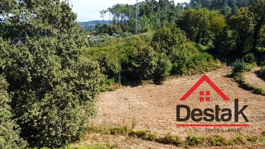 Terreno Agricola ou Rústico para Venda em Fataunços e Figueiredo das Donas Foto 15