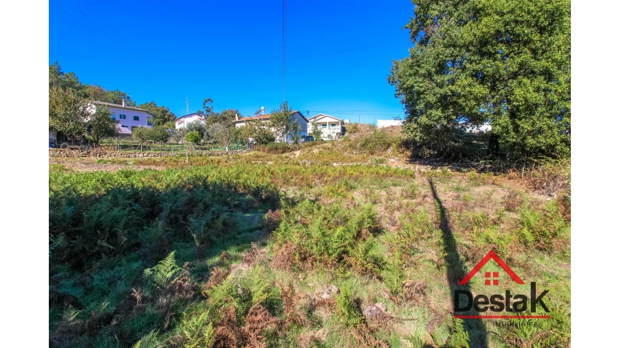 Terreno Agricola ou Rústico para Venda em Fataunços e Figueiredo das Donas Foto 10
