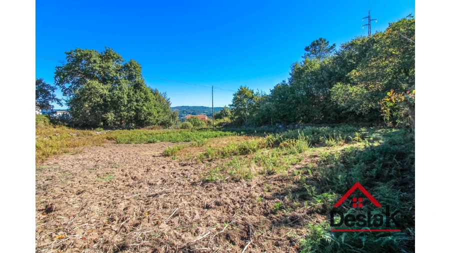 Terreno Agricola ou Rústico para Venda em Fataunços e Figueiredo das Donas Foto 6