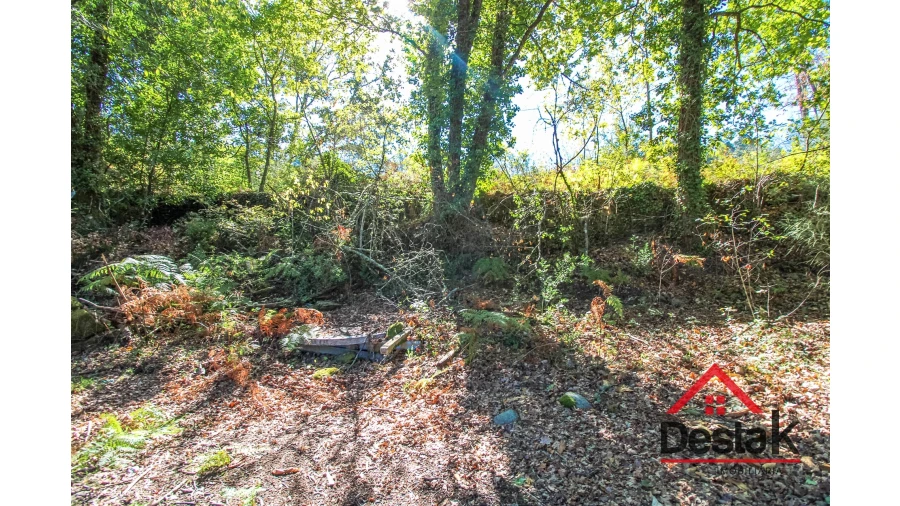 Terreno Agricola ou Rústico para Venda em Fataunços e Figueiredo das Donas Foto 8
