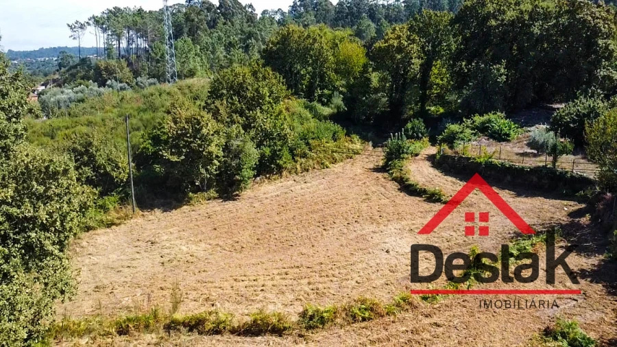 Terreno Agricola ou Rústico para Venda em Fataunços e Figueiredo das Donas Foto 17
