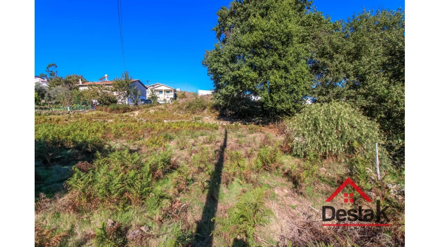 Terreno Agricola ou Rústico para Venda em Fataunços e Figueiredo das Donas Foto 11