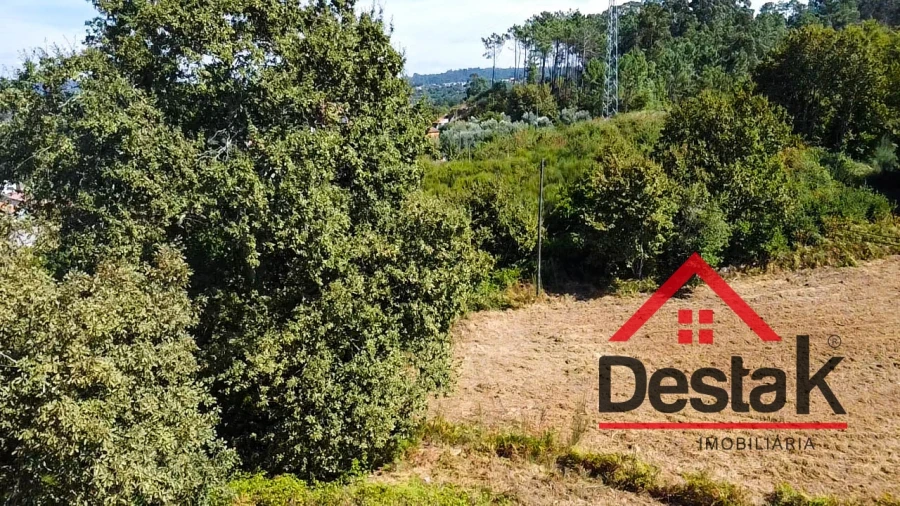 Terreno Agricola ou Rústico para Venda em Fataunços e Figueiredo das Donas Foto 18