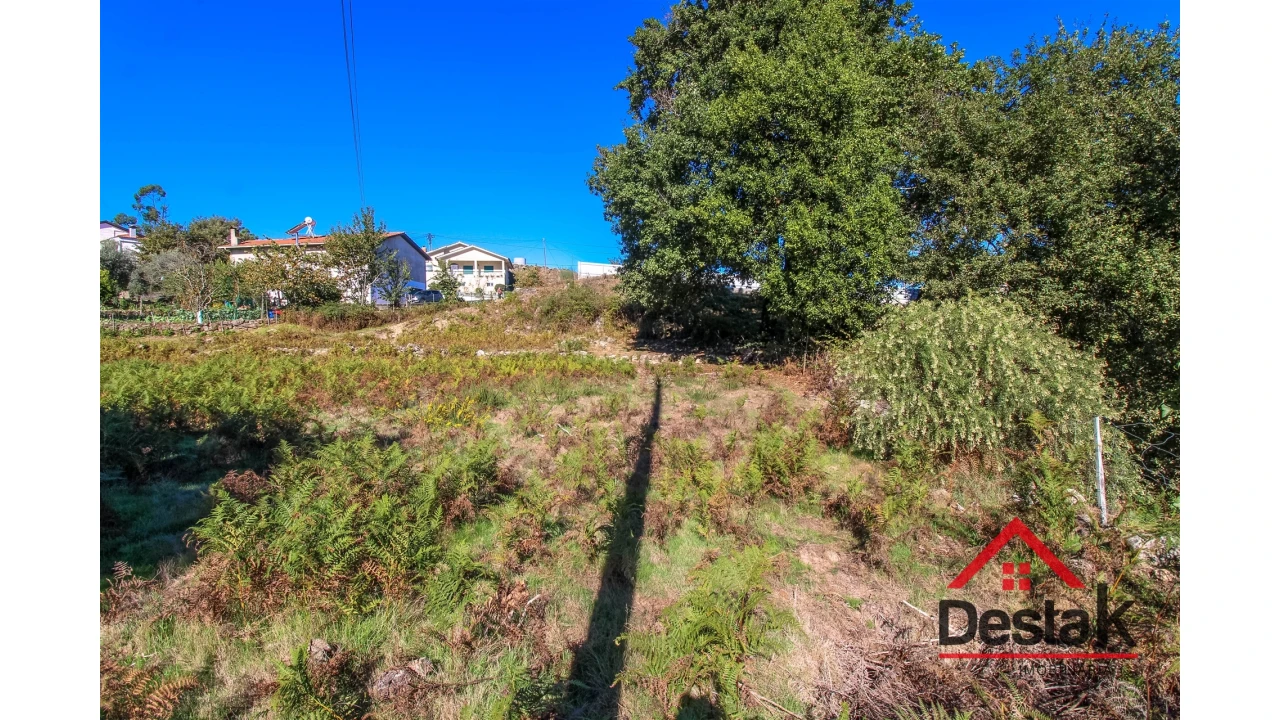 Terreno Agricola ou Rústico para Venda em Fataunços e Figueiredo das Donas Foto 11