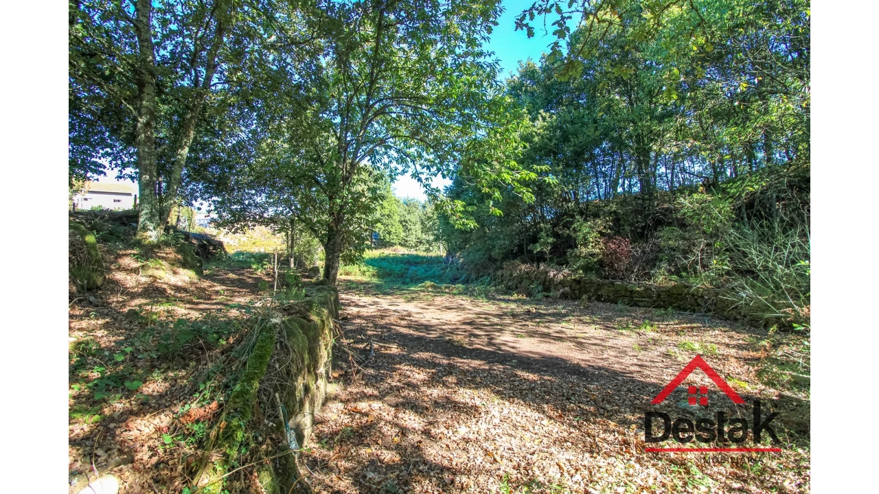 Terreno Agricola ou Rústico para Venda em Fataunços e Figueiredo das Donas Foto 7