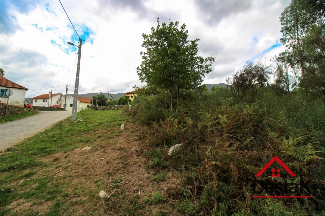 Terreno Agricola ou Rústico para Venda em Carvalhais e Candal Foto 6