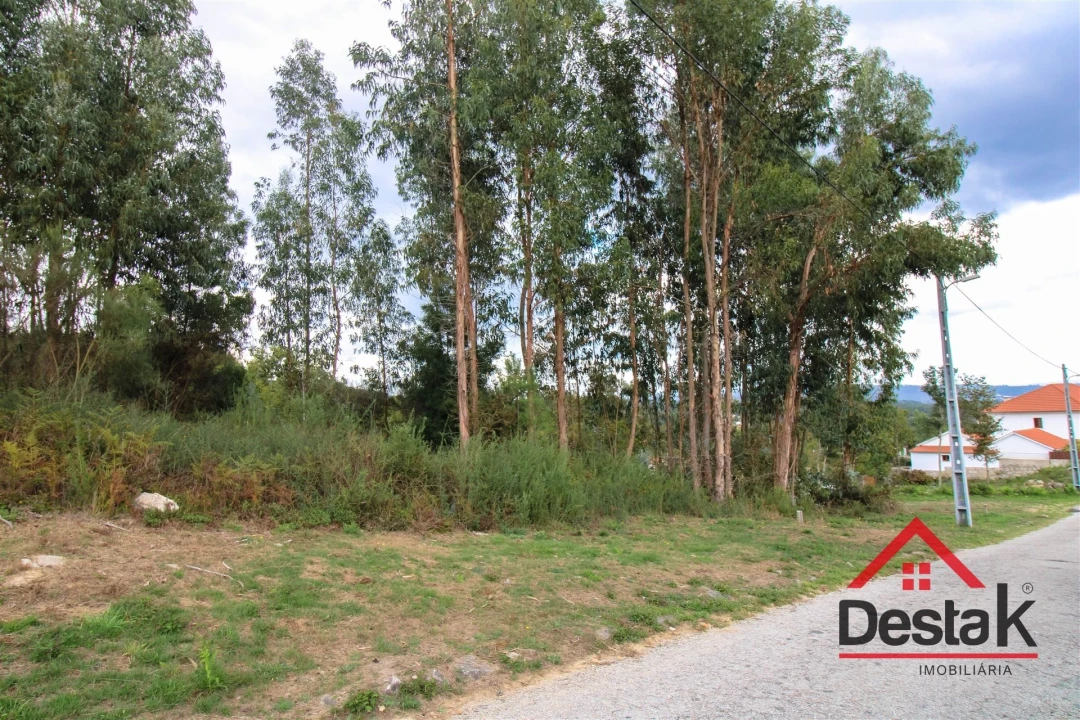 Terreno Agricola ou Rústico para Venda em Carvalhais e Candal Foto 12