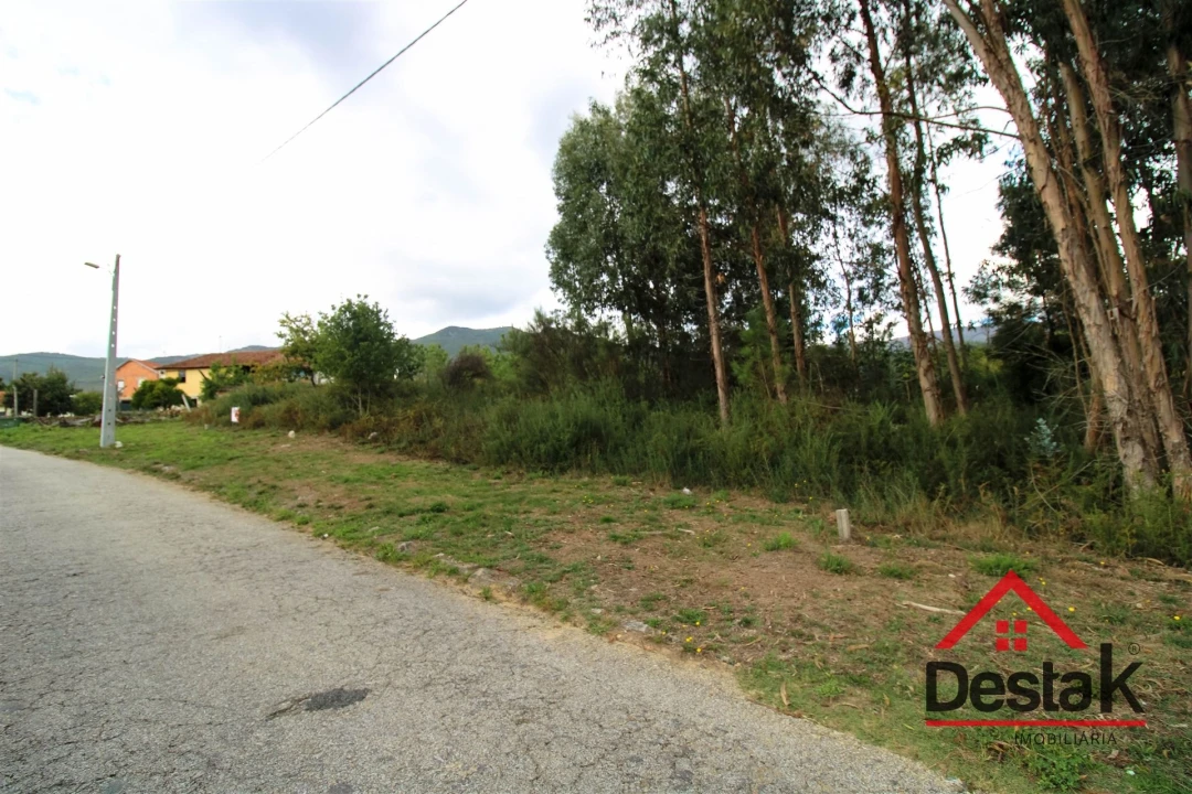 Terreno Agricola ou Rústico para Venda em Carvalhais e Candal Foto 9