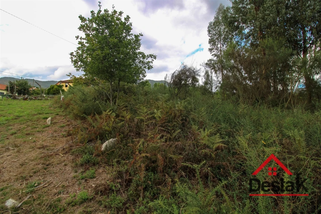 Terreno Agricola ou Rústico para Venda em Carvalhais e Candal Foto 5