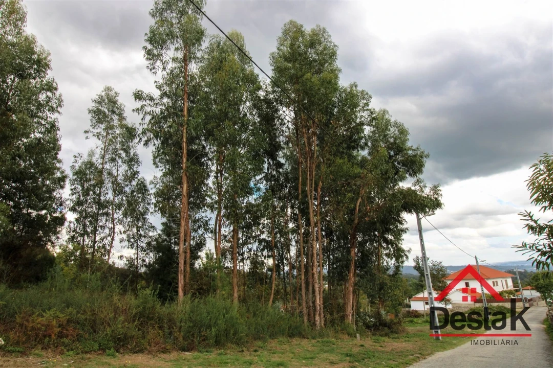 Terreno Agricola ou Rústico para Venda em Carvalhais e Candal Foto 11