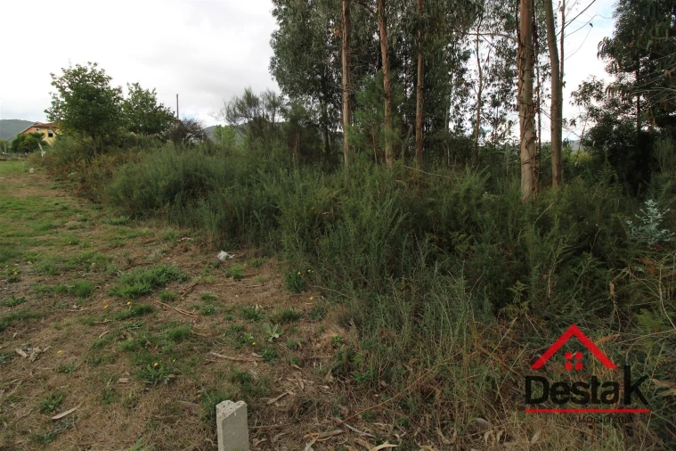 Terreno Agricola ou Rústico para Venda em Carvalhais e Candal Foto 8