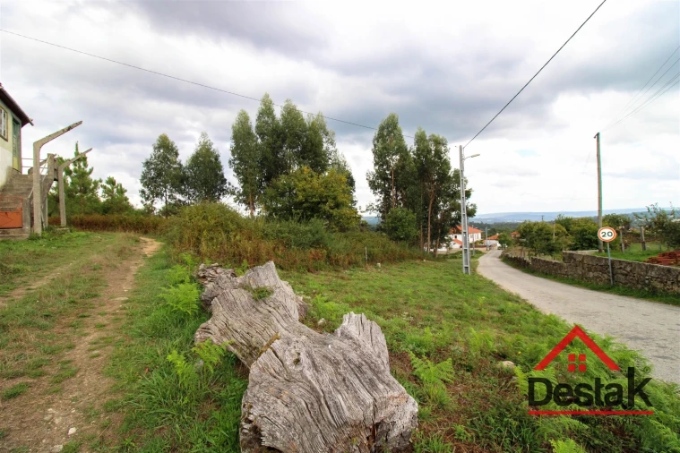 Terreno Agricola ou Rústico para Venda em Carvalhais e Candal Foto 13